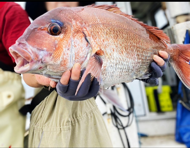 釣り